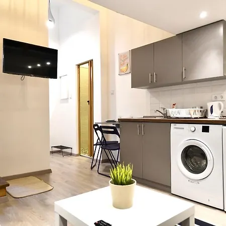 Downtown Flat In Budapest, King Daire *
